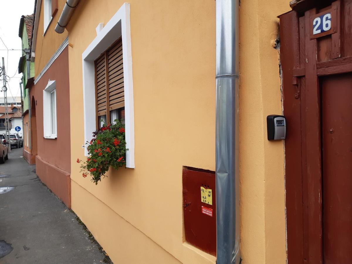 Flh - Studio Mai Cu Aroma De Cafea Si Ceai Sibiu Exterior foto